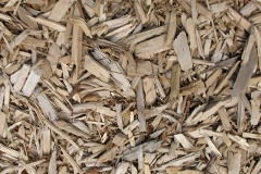 biomass boilers Ireland Wood
